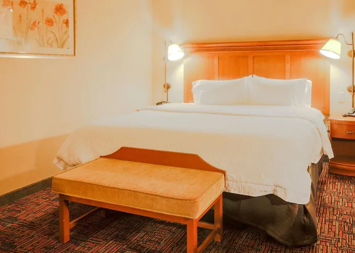 Hampton Inn & Suites Tomball